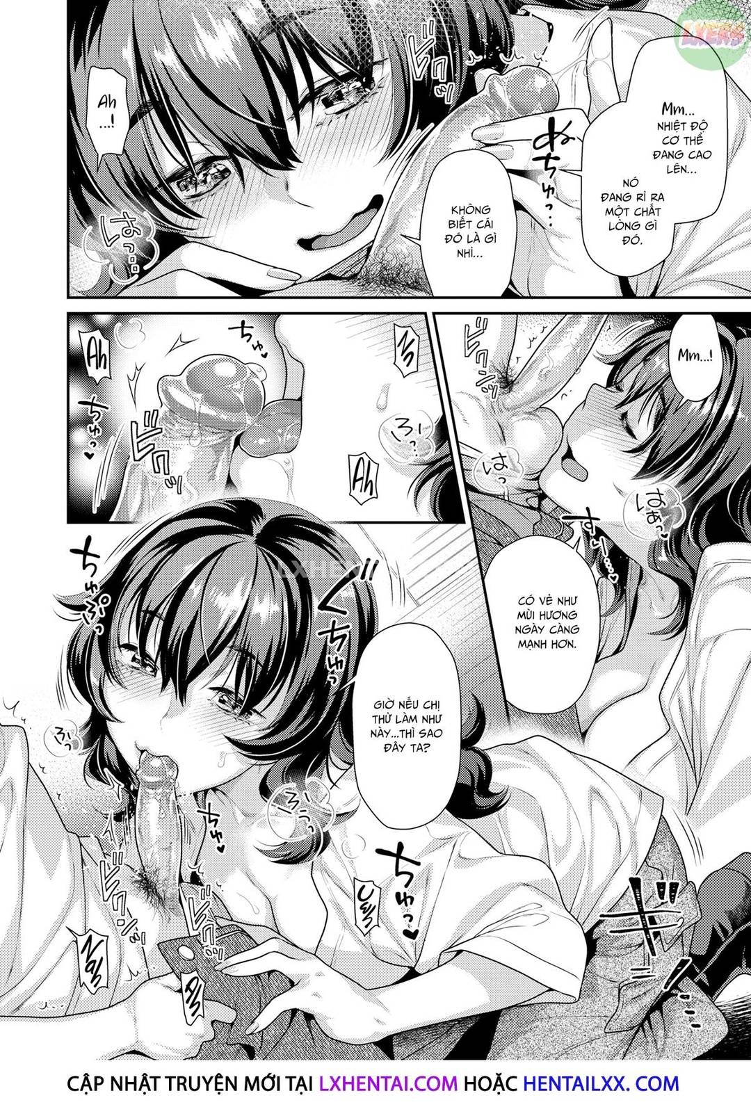 Động Vật Ăn Thịt